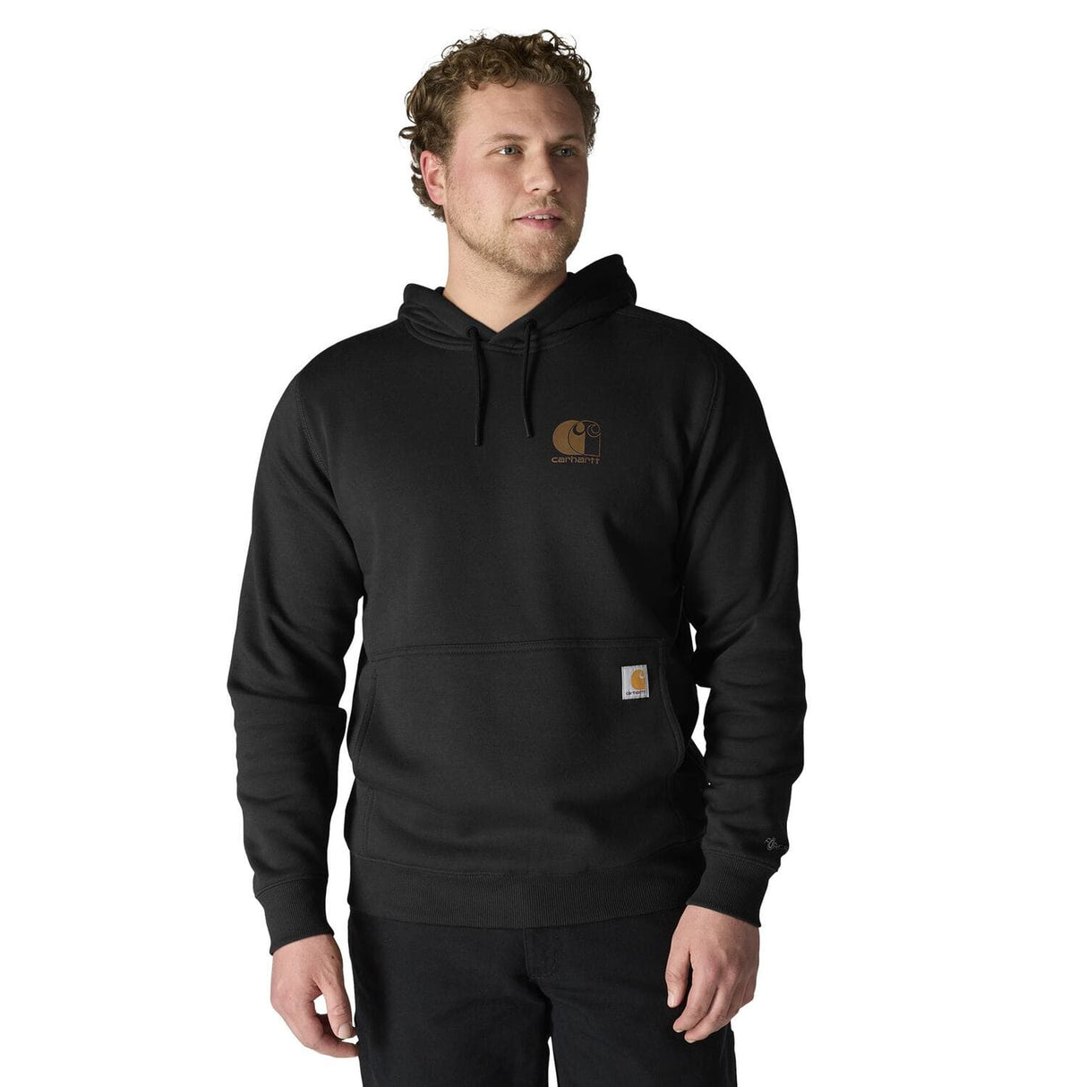 Carhartt Force Relaxed Fit Lightweight Logo Graphic Hooded Sweatshirt
