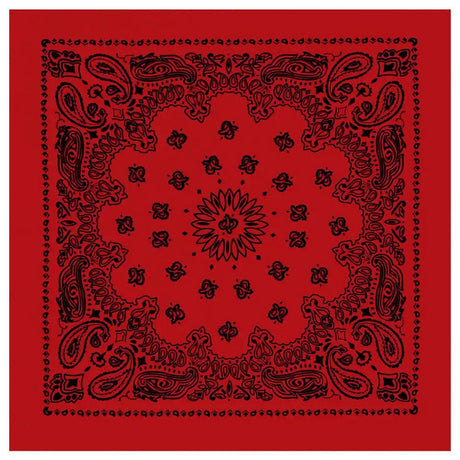 27-Inch Classic Paisley Bandana
