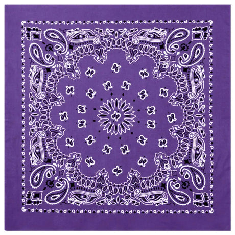 27-Inch Classic Paisley Bandana