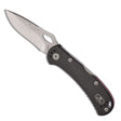 Buck SpitFire Black 4.25-Inch Folding Knife