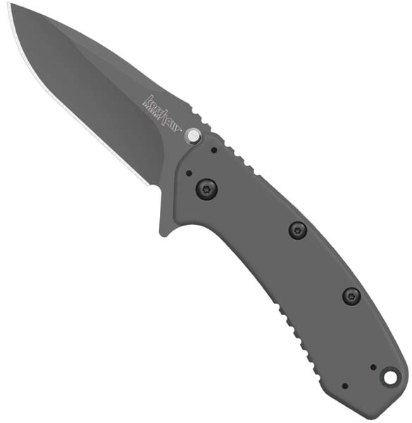 Kershaw Cryo Plain Edge Black Knife - 1555TI