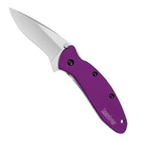 Kershaw Scallion Purple 2.4-Inch Assisted Opening Folding Knife