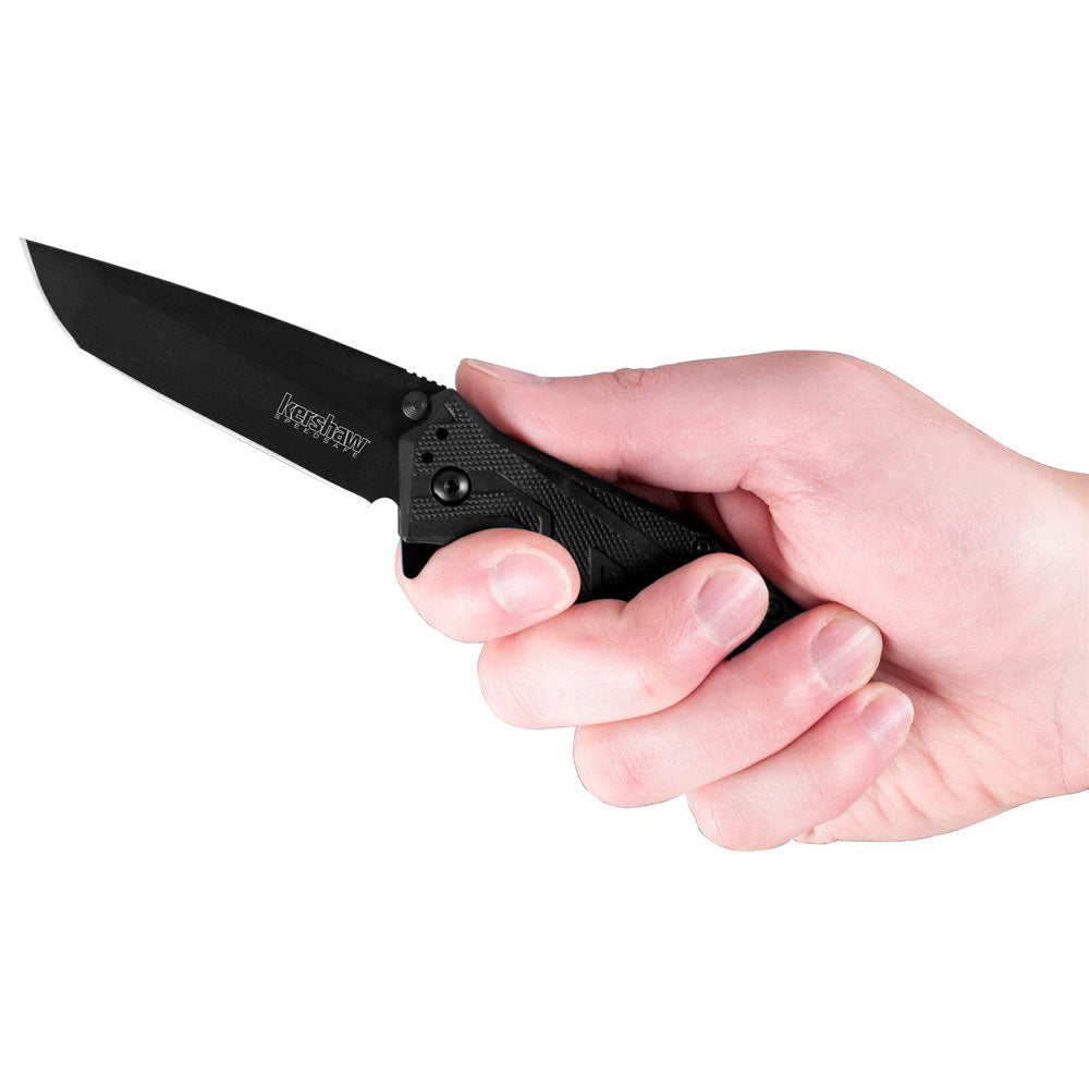 Kershaw Brawler Black Blade 3-Inch Assisted Opening Folding Knife