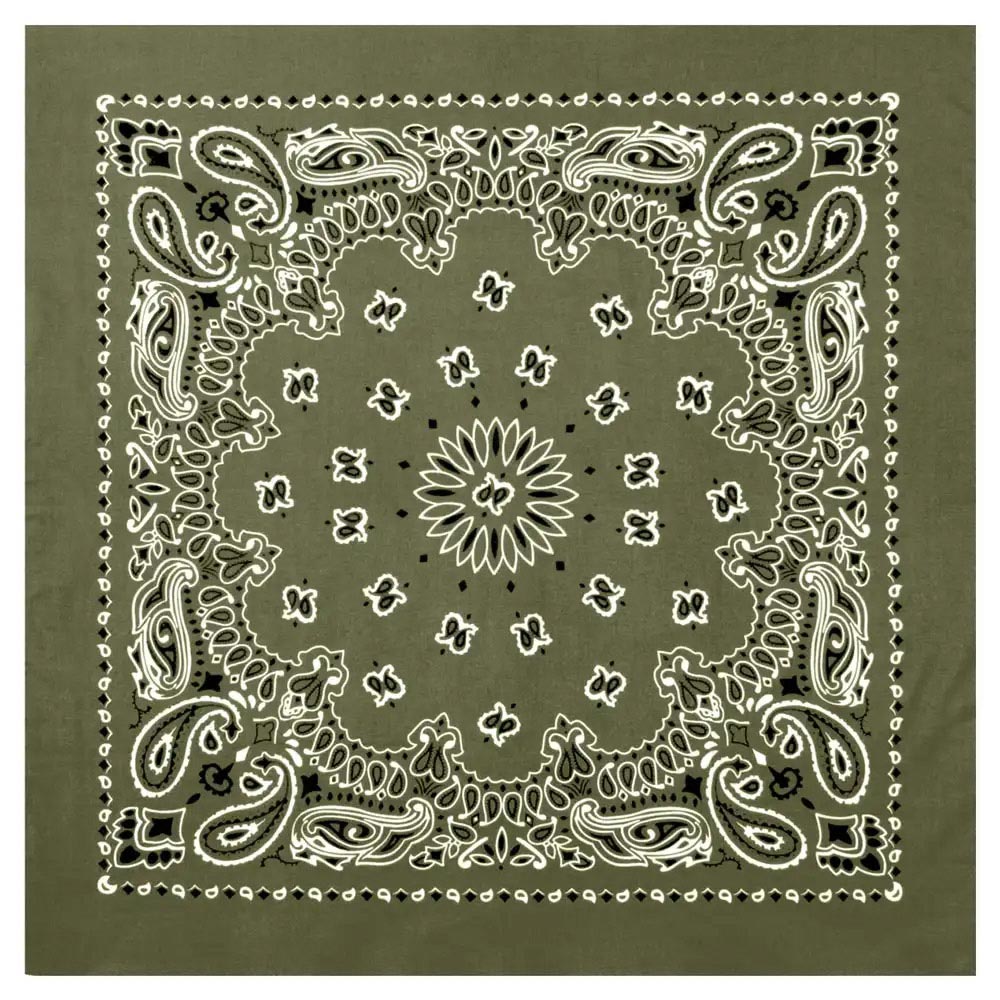 27-Inch Classic Paisley Bandana