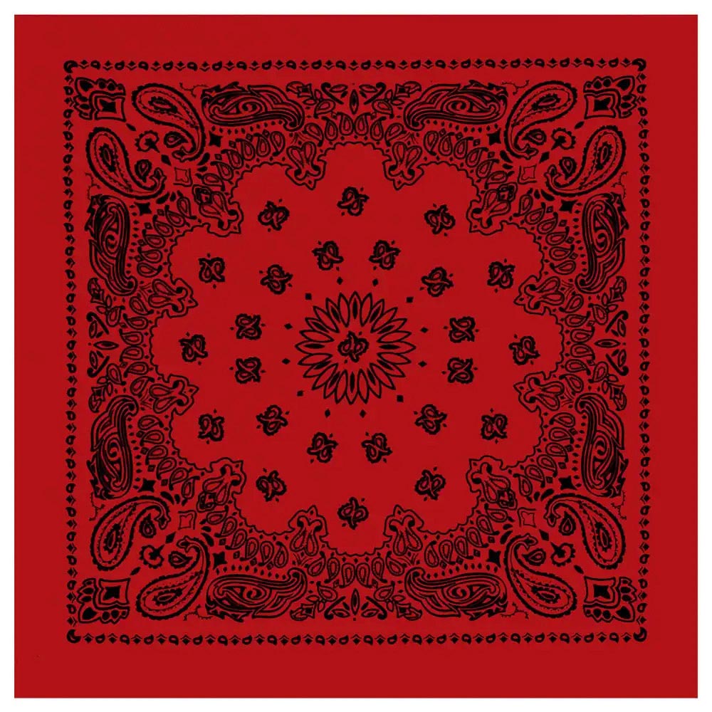 27-Inch Classic Paisley Bandana