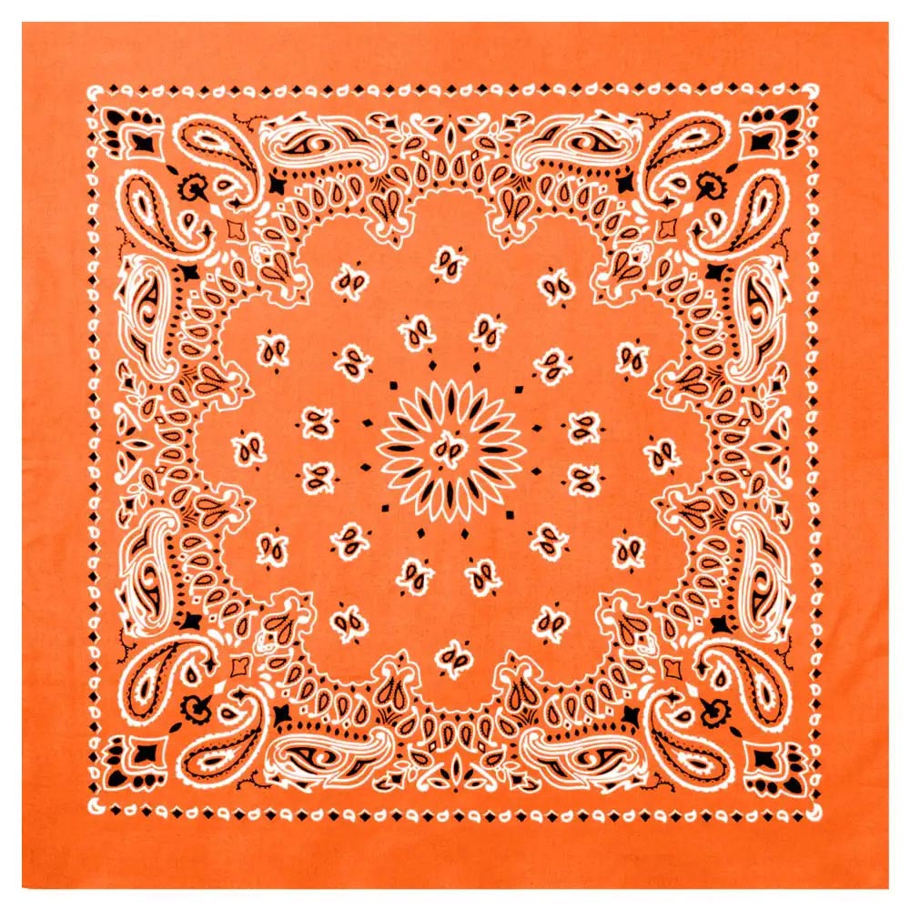 27-Inch Classic Paisley Bandana