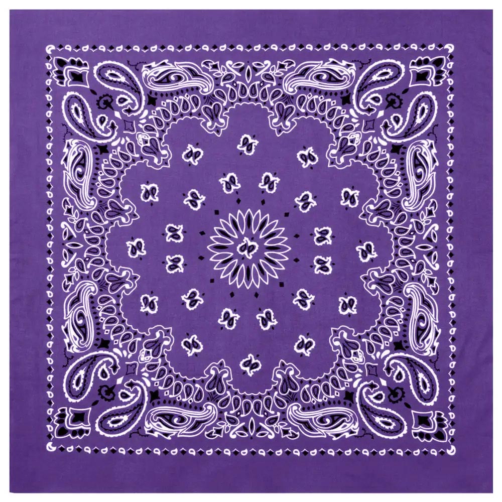 27-Inch Classic Paisley Bandana