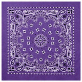 27-Inch Classic Paisley Bandana