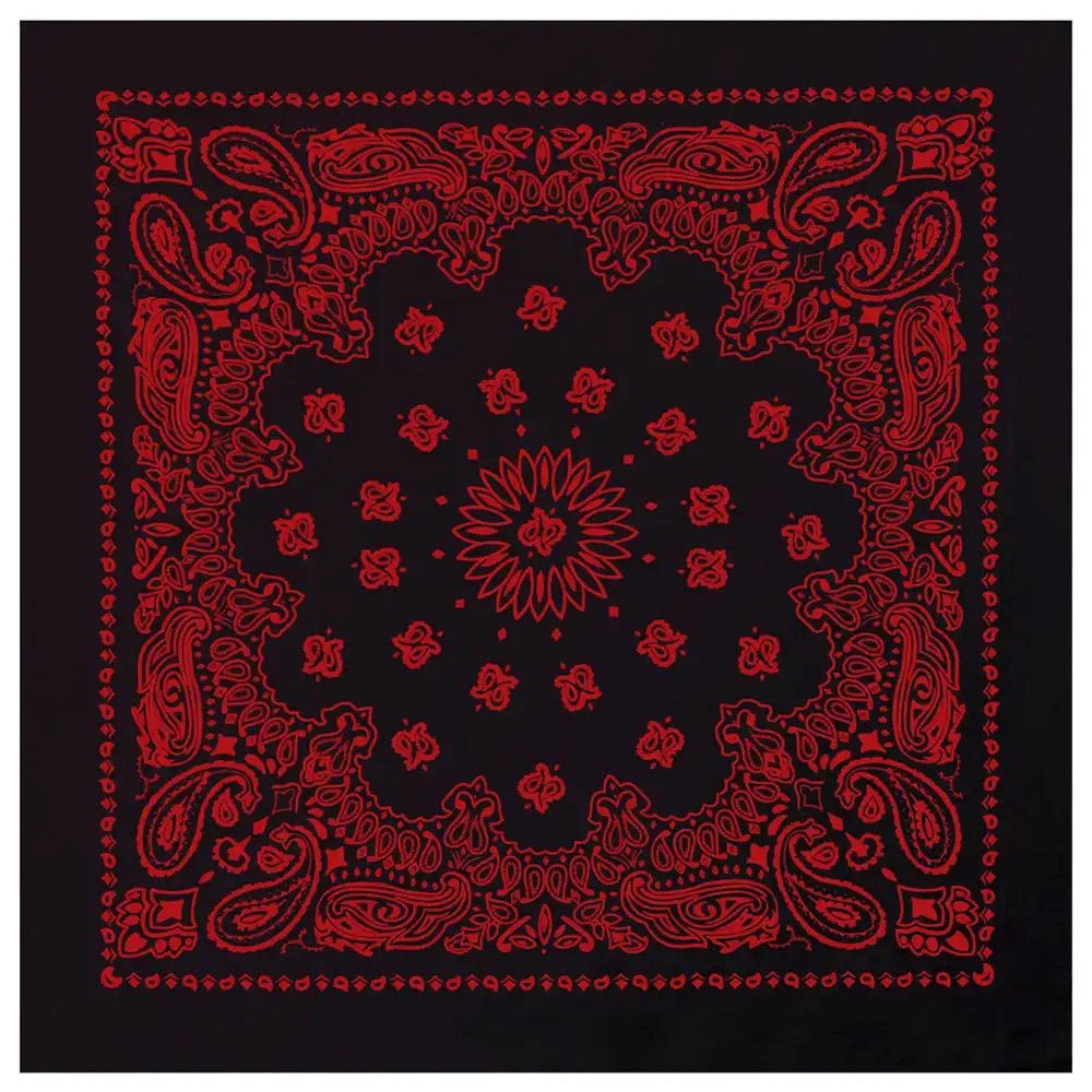 27-Inch Classic Paisley Bandana