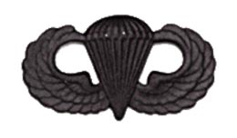 Black Metal Badge Parachutist Army Insignia