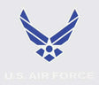 Air Force Wing Logo Sticker