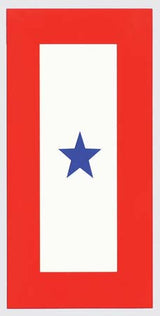 Single Star Service Flag Decal