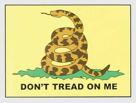 Yellow Don't Tread On Me Decal