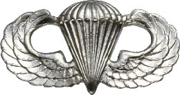 No-Shine Badge Parachutist Army Insignia