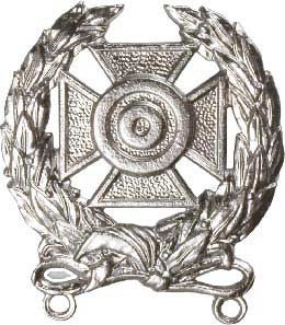 No-Shine Badge Expert Badge Army Insignia