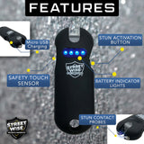 Streetwise Security Smart 24 Million Volt Keychain Stun Gun