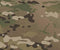 Multicam Camouflage
