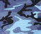 Sky Blue Camouflage